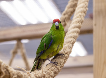 Similar image 22008849