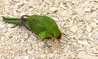 Similar image 22008851