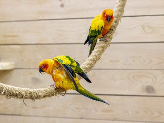 Similar image 22008854