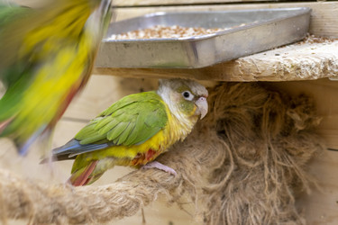 Similar image 22008855