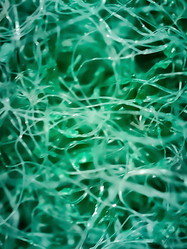 Similar image 22006743