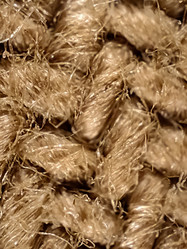 Similar image 22006746