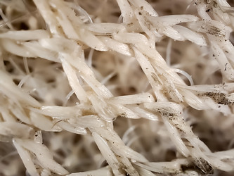 Similar image 22006747