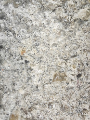 Similar image 22006750