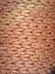 Similar image 22006751