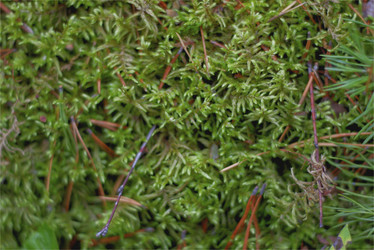 Similar image 22006581