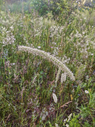 Similar image 22006586