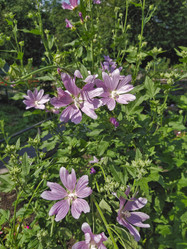 Similar image 22006589