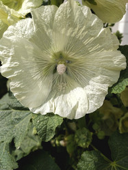 Similar image 22006590