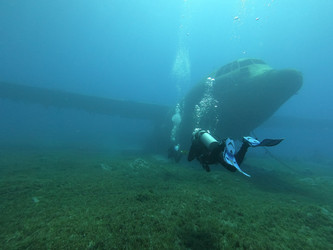 Similar image 22013973