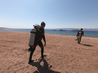 Similar image 22013976