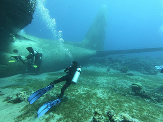 Similar image 22013978