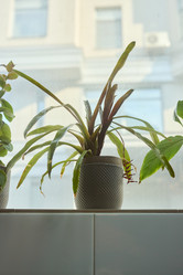 Similar image 22014028