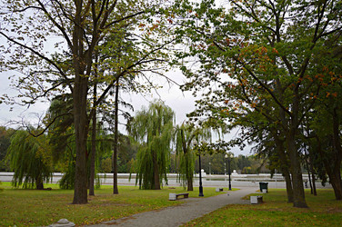 Similar image 22006768