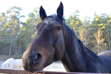 Similar image 22006772