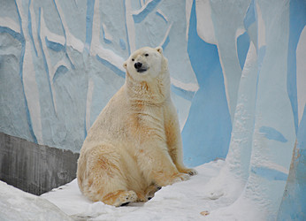 Similar image 22006774