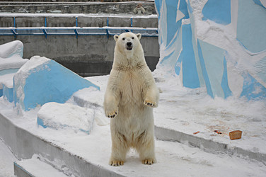 Similar image 22006777