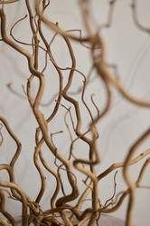 Similar image 22013748