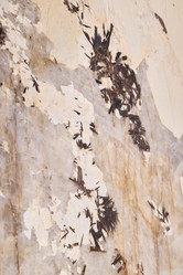 Similar image 22013757