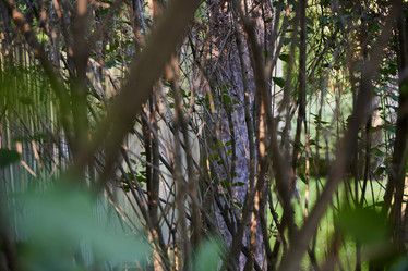 Similar image 22013761