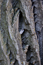 Similar image 22013765