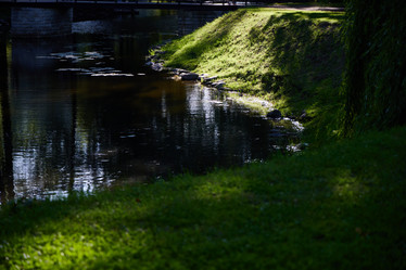 Similar image 22013806