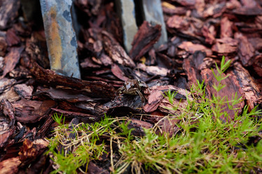 Similar image 22013807