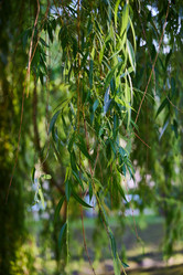 Similar image 22013810