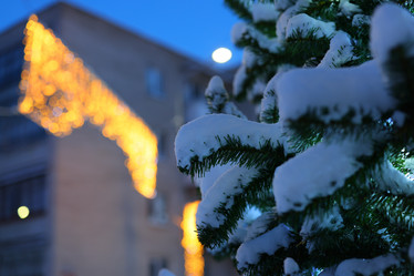 Similar image 22013816