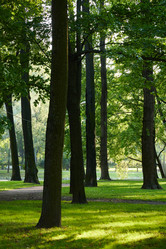 Similar image 22013865