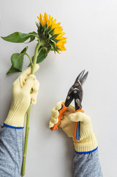 Similar image 22016960