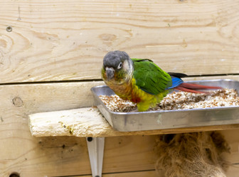 Similar image 22008858