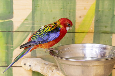 Similar image 22008859