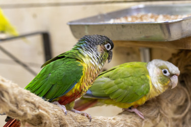 Similar image 22008861