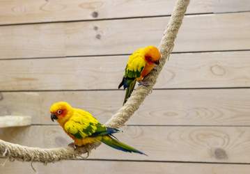 Similar image 22008864