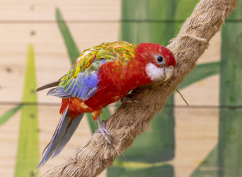 Similar image 22008866