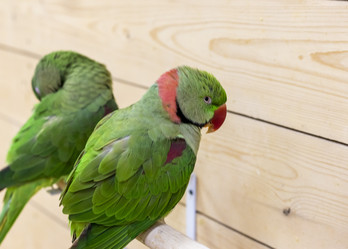 Similar image 22008867