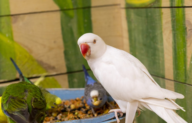 Similar image 22008869