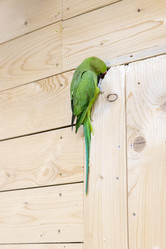 Similar image 22008870