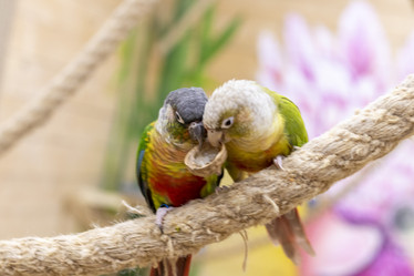 Similar image 22008871