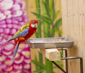 Similar image 22008872