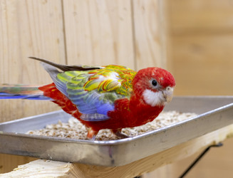 Similar image 22008873