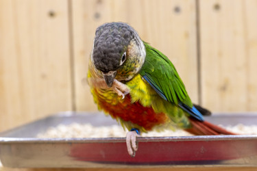 Similar image 22008875