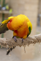 Similar image 22008876