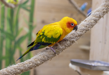 Similar image 22009149