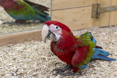 Similar image 22009151