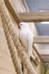 Similar image 22009154