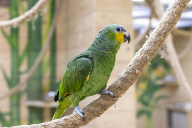 Similar image 22009155