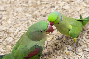 Similar image 22009157