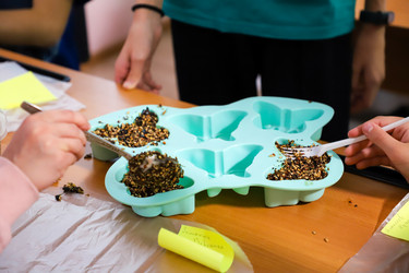 Similar image 22006616